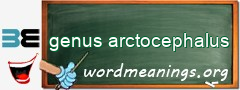 WordMeaning blackboard for genus arctocephalus